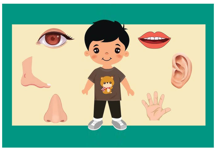 Bai-tap-phat-trien-ky-nang-tu-duy-cho-tre--Bai-so-6-